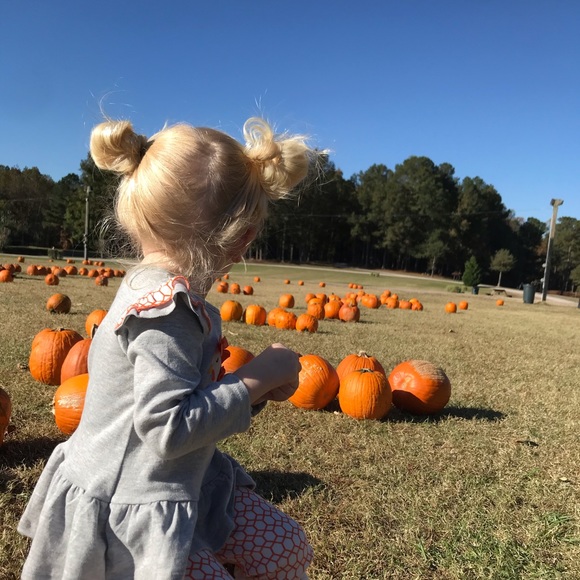 Meet your Posher, Tara - Picture 1 of 1